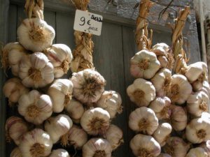 Strengen knoflook 1 (Small)